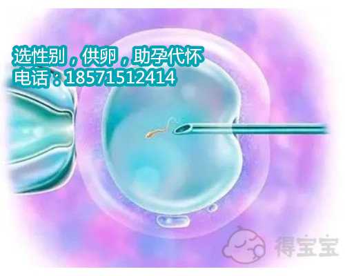 广州代生子技术,2022湖北三代供卵试管婴儿费用：