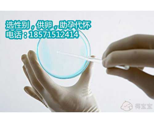 <b>广州哪家机构可以做供卵,2南京试管医院成功率详情</b>