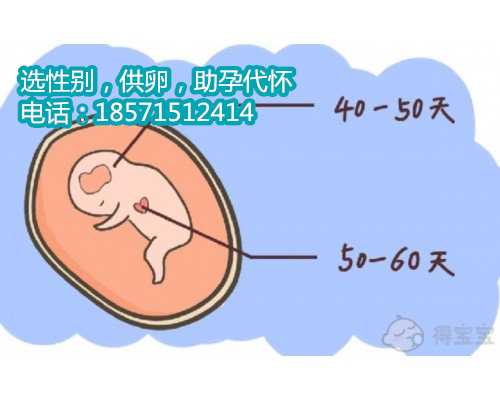 广州供卵代生联系地址,婴儿配方奶粉如何选购