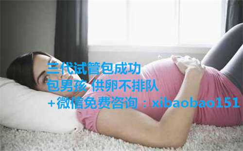 在上海九院做试管婴儿需要多少钱？成功率多高？